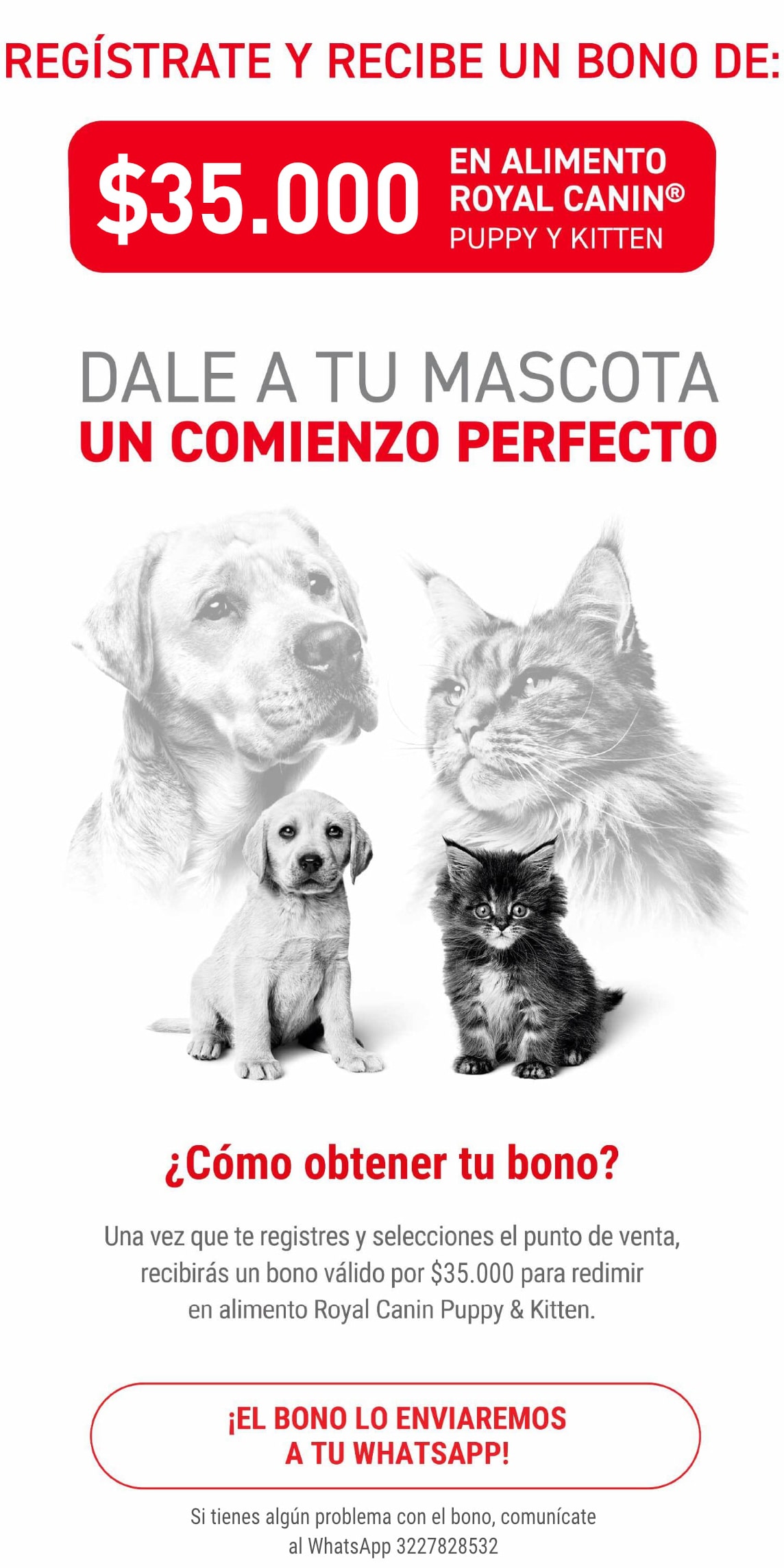 Royal Canin - OBTÉN BONO REGALO